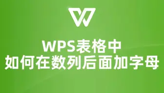 提升工作效率的秘诀：WPS表格中如何在数字后加字母
