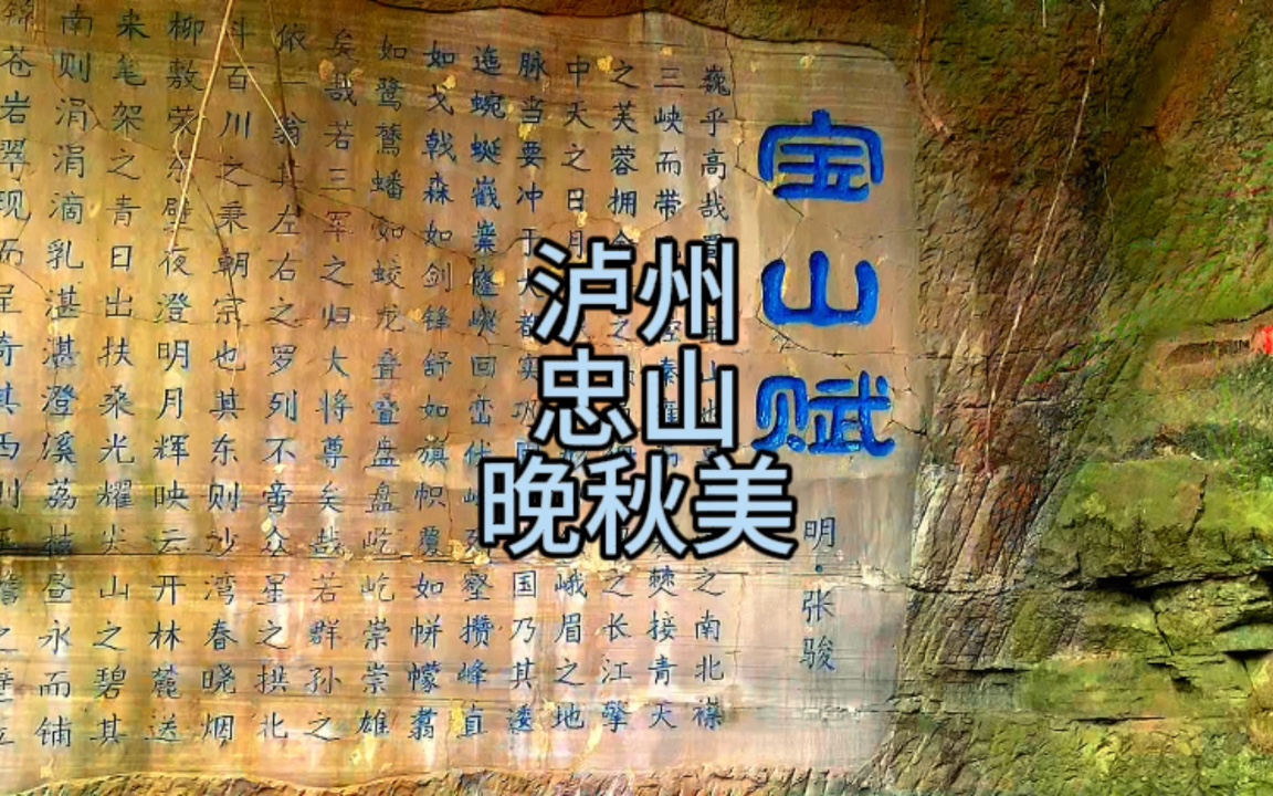 泸州忠山晚秋时节,那种特立独行的美,再不来就没了