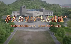 Download Video: 第八届全国高校大学生讲思政课参赛作品｜《历久弥坚的“飞虎情谊—推动构建新型国际关系 促进世界和平与发展》