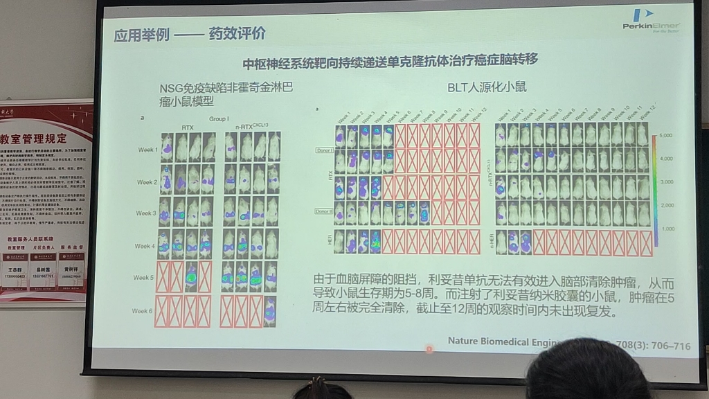 [图]活体光学成像技术原理及应用