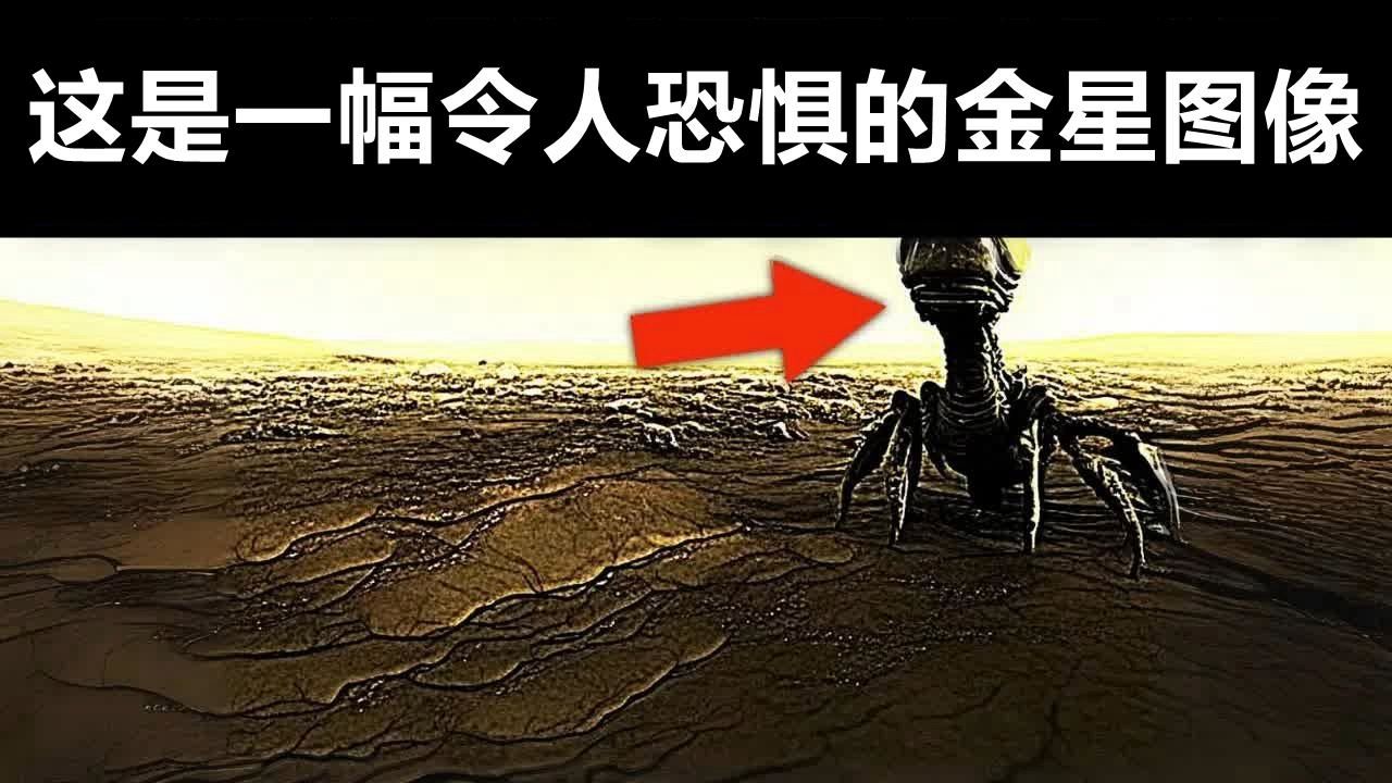 美国国家航空航天局(NASA)刚刚发现了美国宇航局拍摄的金星机密照片哔哩哔哩bilibili