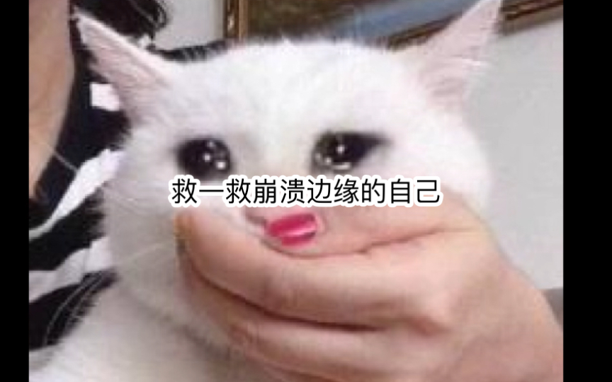 想救一救崩溃边缘的自己!