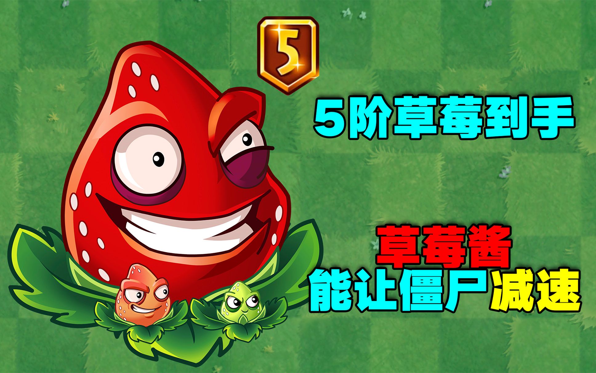 pvz植物成长史:5阶爆炸草莓到手!还带减速草莓酱!