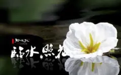 Video herunterladen: 【嗷天·国人男声】临水照花【古风】