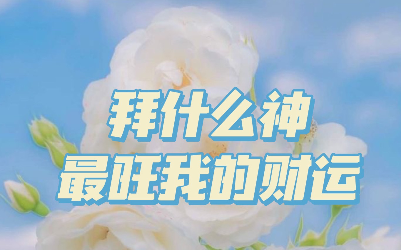 【秋鸣塔罗】拜什么神最旺我的财运,领取好运吧~哔哩哔哩bilibili