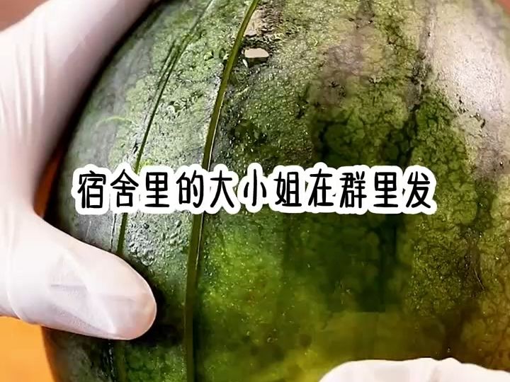 《如画都有》在知乎哔哩哔哩bilibili