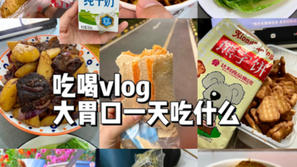 吃喝vlog |大胃口女生一天究竟能摄入多少大卡?哔哩哔哩bilibili