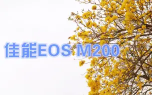 Download Video: 佳能EOS M200 15—45mm  拍照效果原图分享