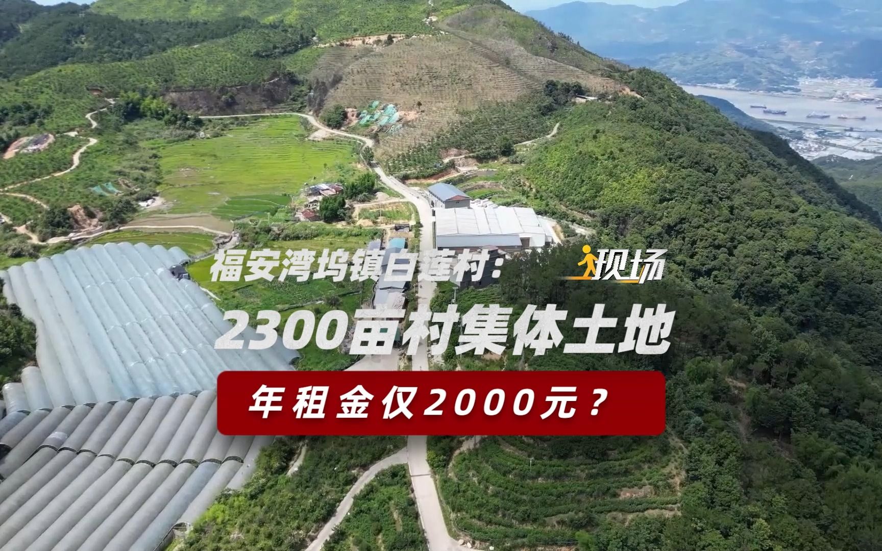 福安湾坞镇白莲村:“宗祠理事会”对外出租荒山,租期50年年租金仅2000元?哔哩哔哩bilibili