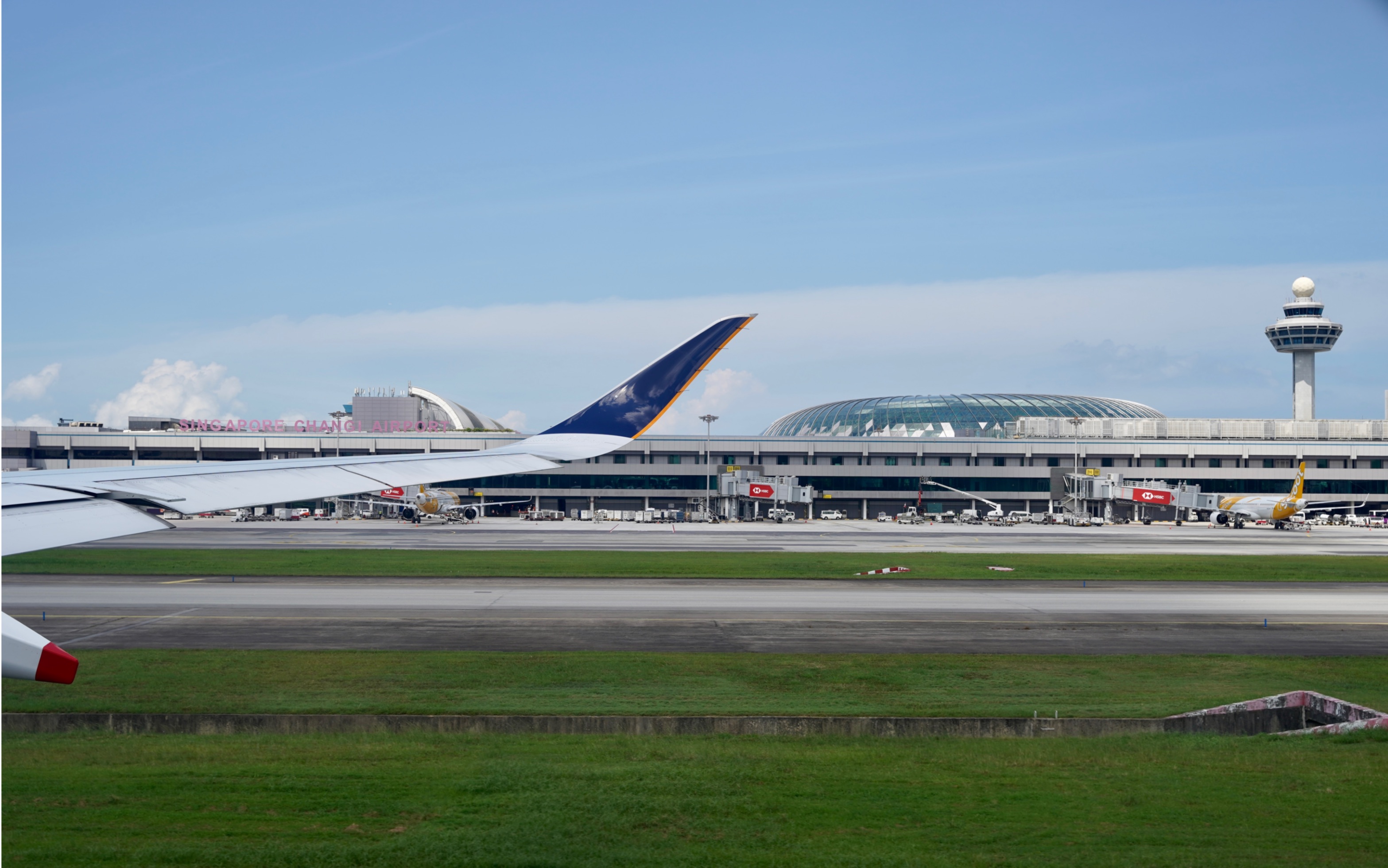 新加坡樟宜机场宣传片图片