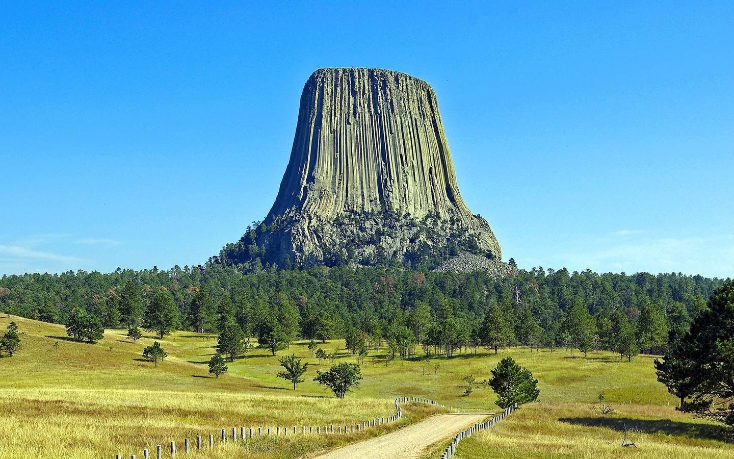 世界上最大的"树桩":美国魔鬼塔-阿克夏vincent-自然-哔哩哔哩视频