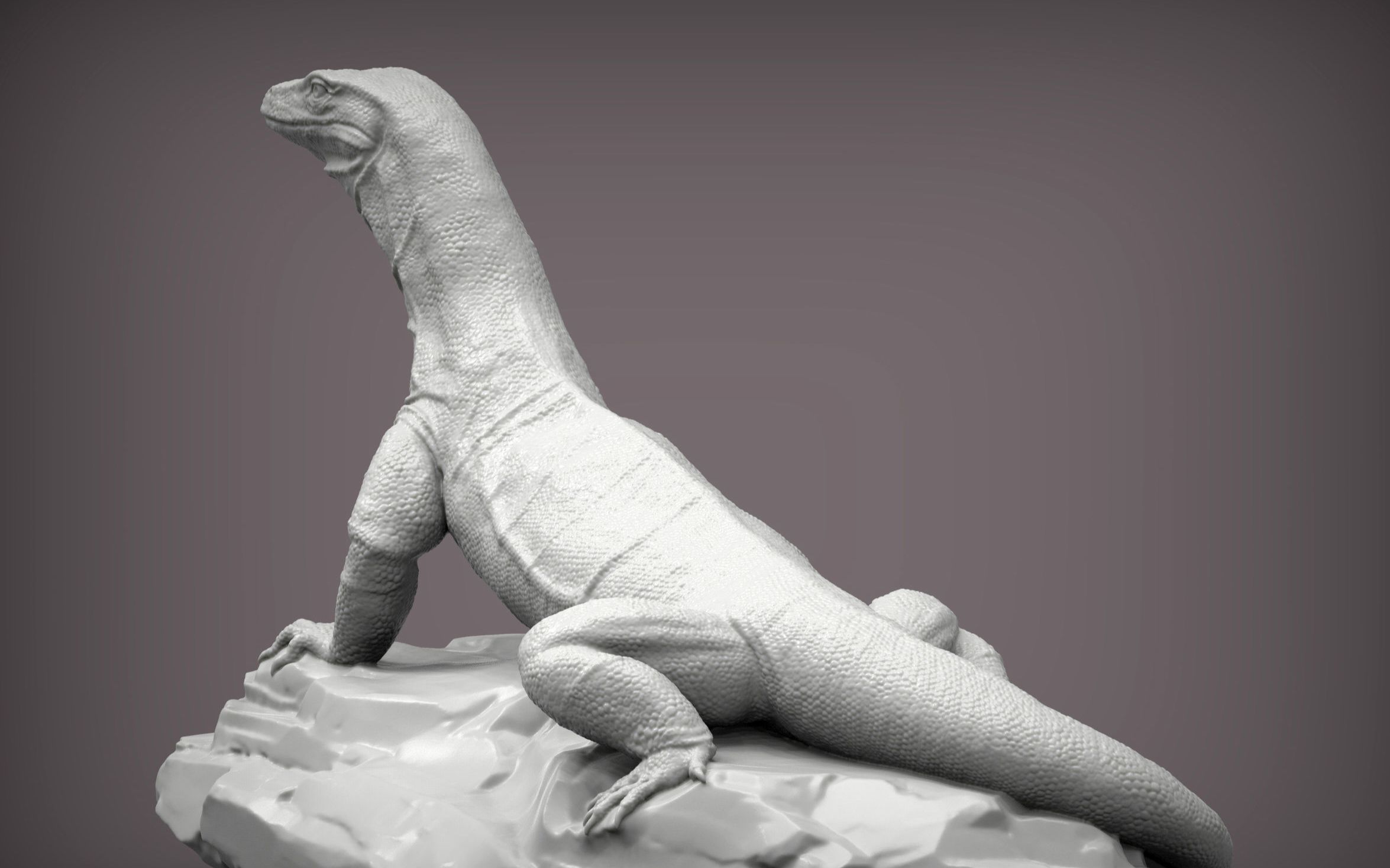 zbrush蜥蜴动物雕刻参考资料,zbrush雕刻资料