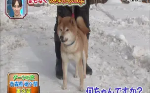 21 02 17 指原莉乃今夜くらべてみました 女子の本音新企画 男子のlineをガチ添削 哔哩哔哩 つロ干杯 Bilibili