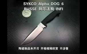 下载视频: BUSSE 阿尔法狗 INFI SYKCO Alpha DOG 6 陶瓷制品未开刃 开箱视频欣赏 不涉售