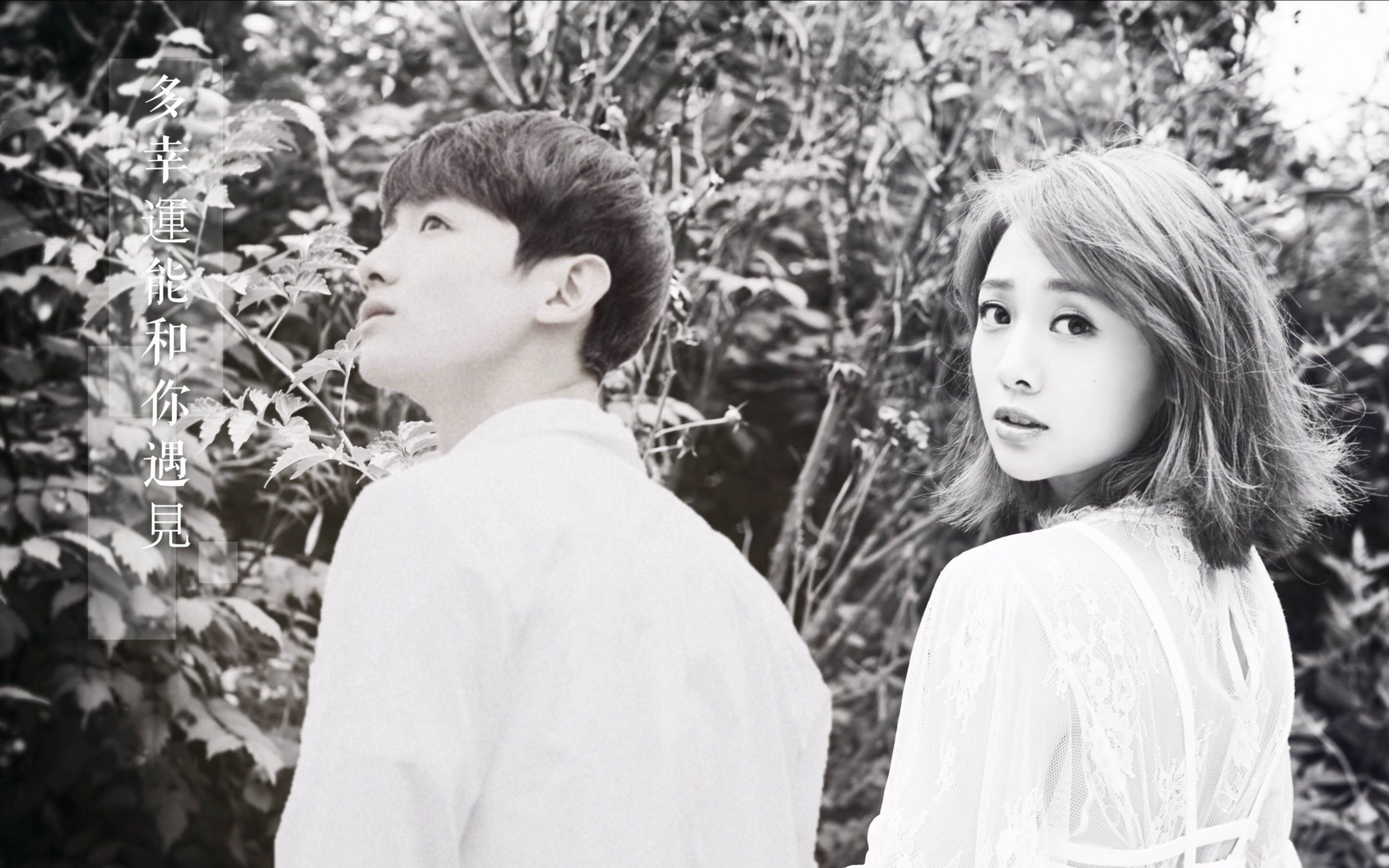 【白敬亭鬼鬼】【魄魄】魄魄版回家的诱惑