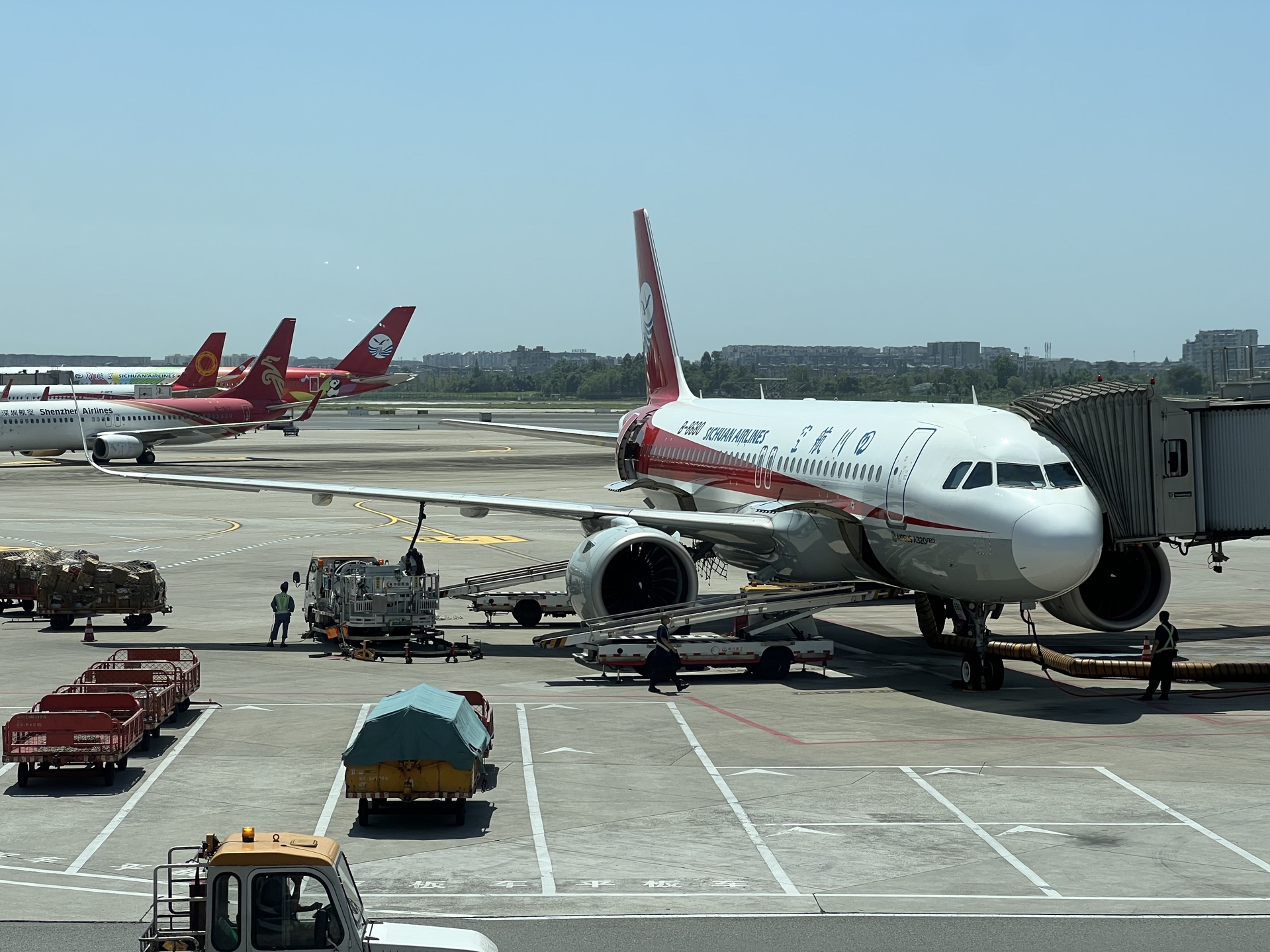 四川航空a319餐厅图片