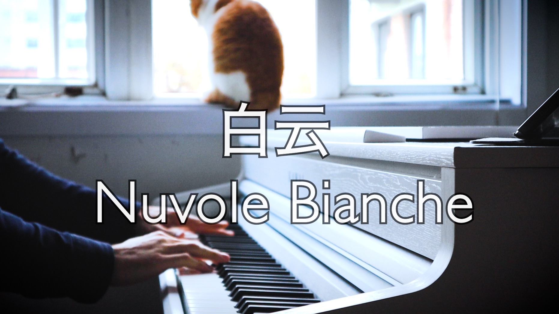 【钢琴】《白云 Nuvole Bianche》Ludovico Einaudi 罗曼耶卓哔哩哔哩bilibili