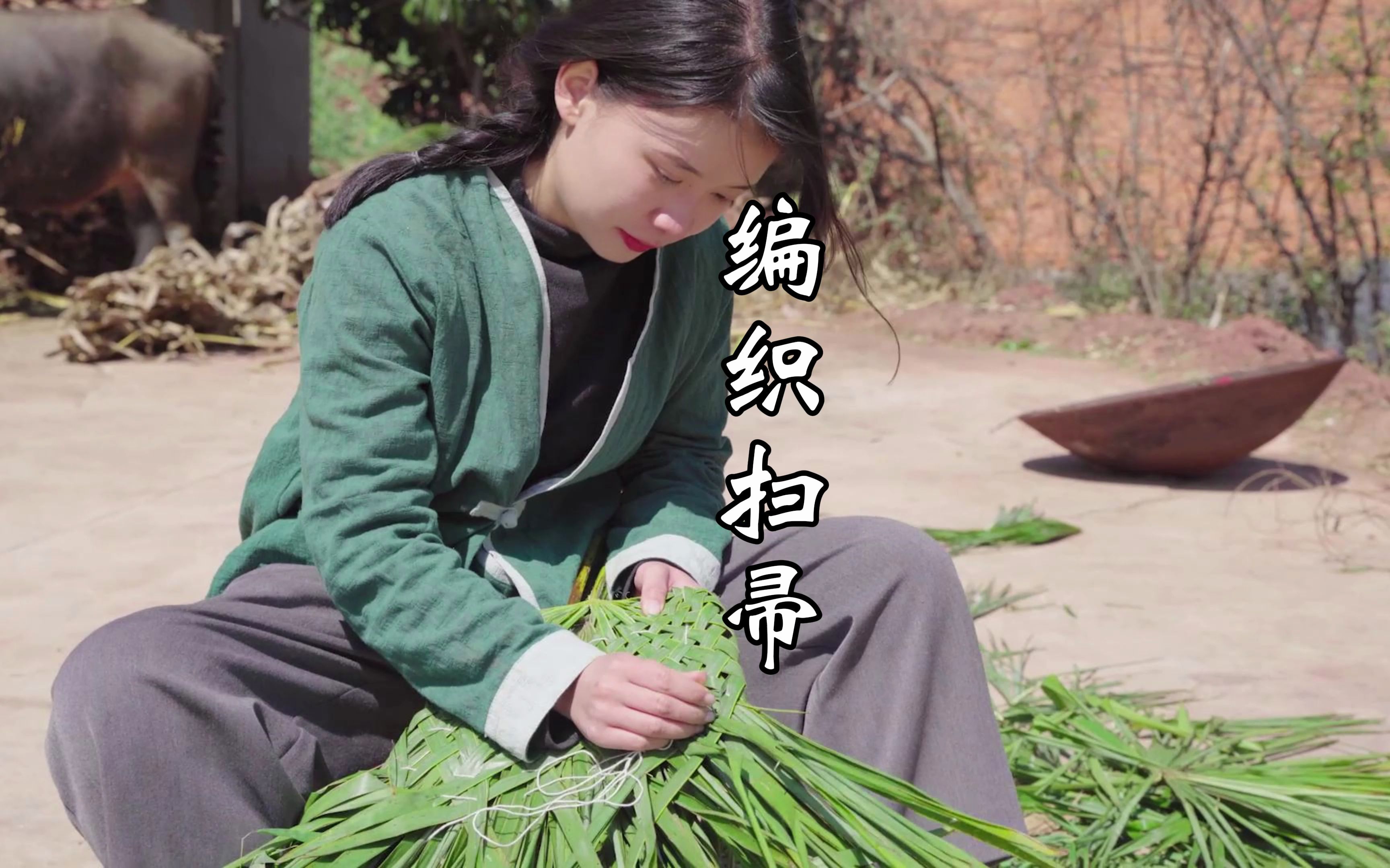 自制棕树叶扫帚