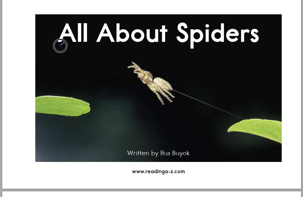 [图]C all about spiders