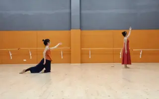 古典大双人舞 搜索结果 哔哩哔哩 Bilibili