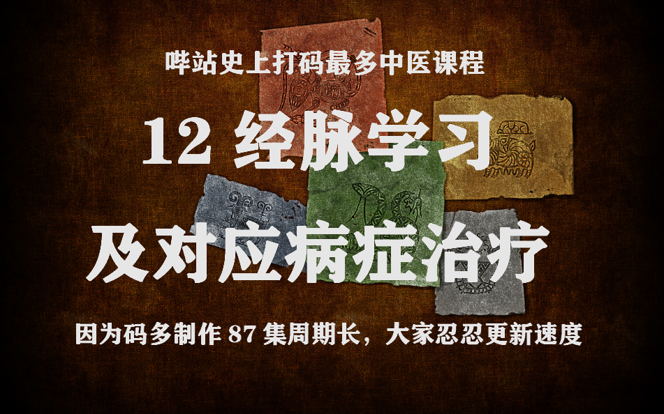 [图]哔站史上打码最多中医课程《12经脉学习及应对病症治疗》-因为码多制作87集周期长，大家忍忍更新速度