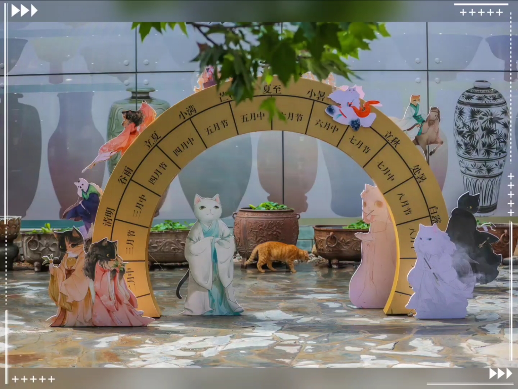 观复猫 胖胖金 花飞飞