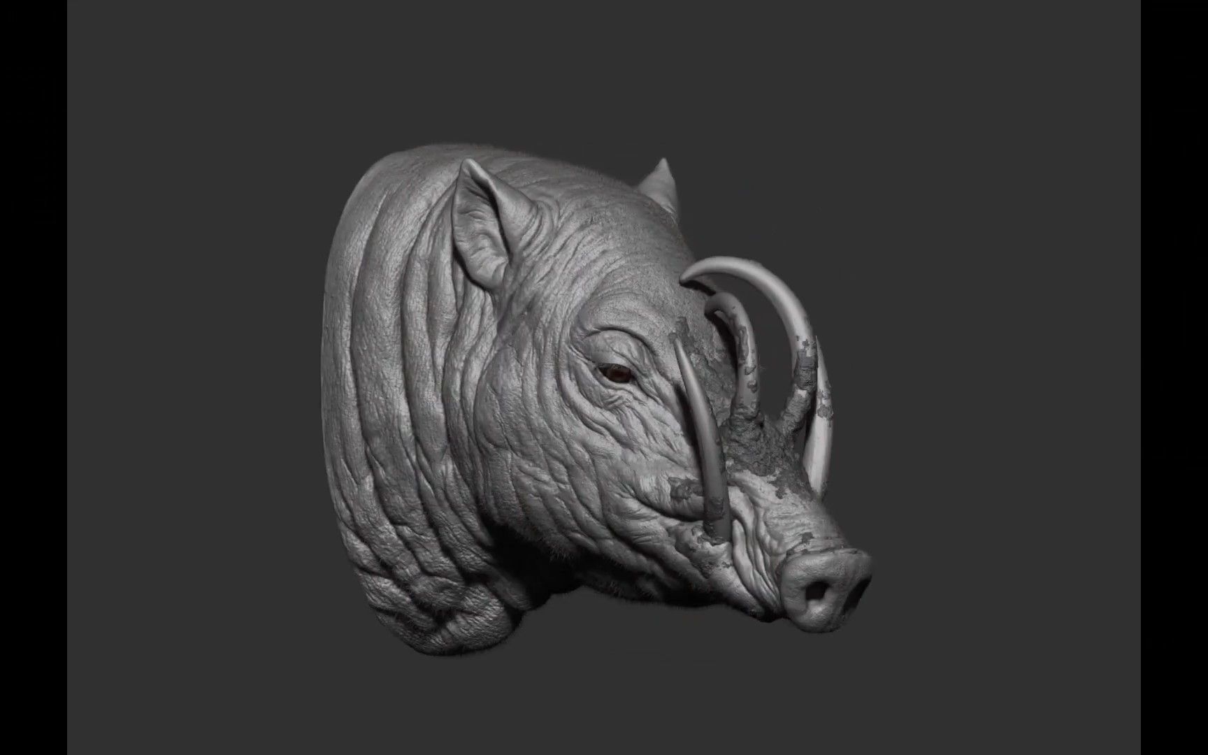 3d动物模型野猪,这样的水平可以去哪上班?