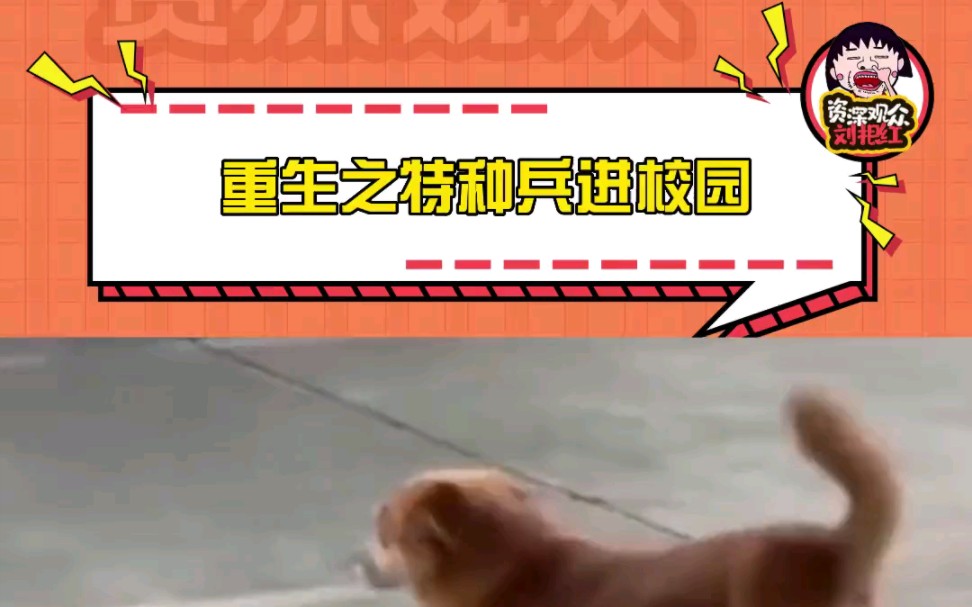 重生之特种兵进校园哔哩哔哩bilibili