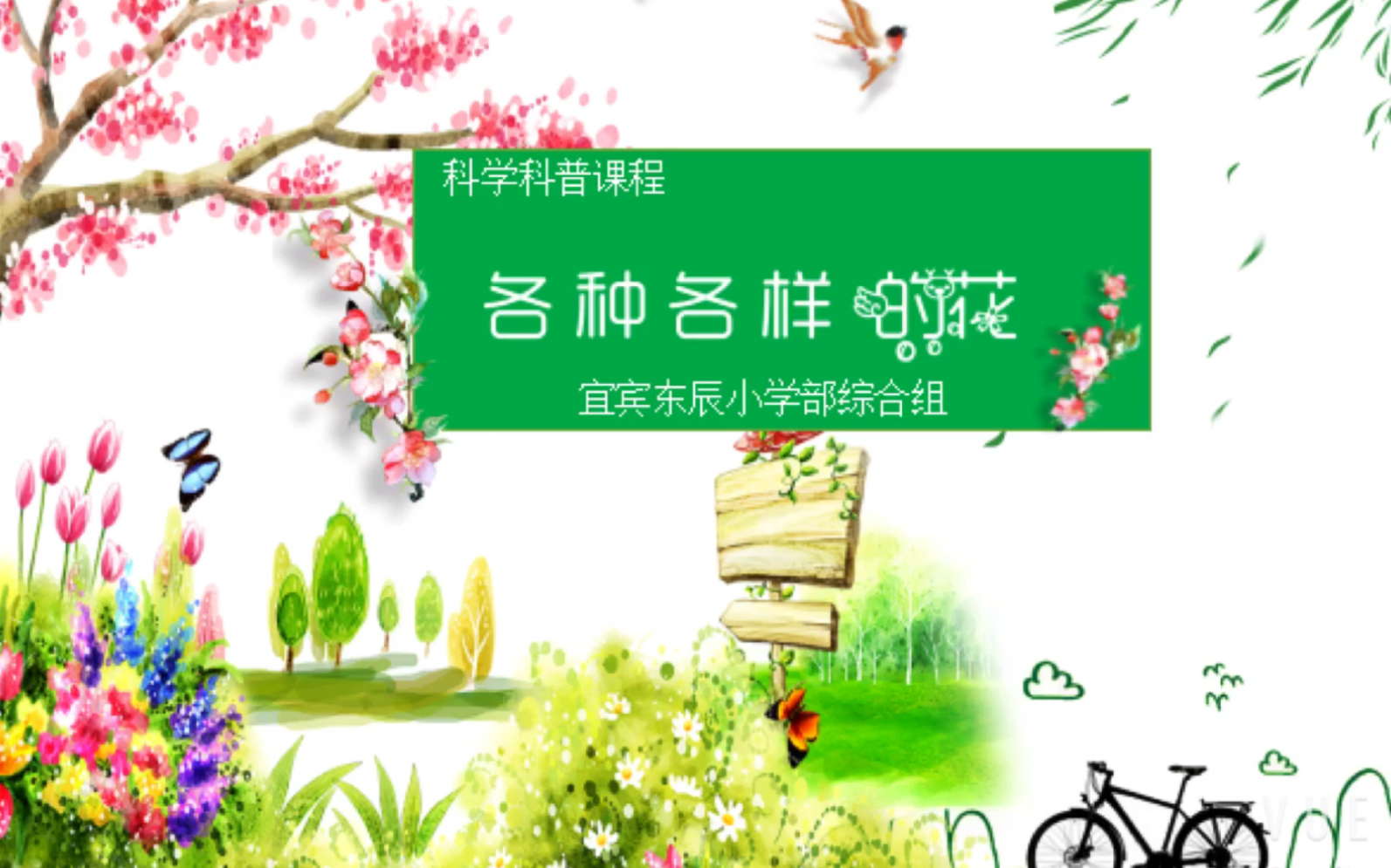 科学科普课【各种各样的花】哔哩哔哩bilibili