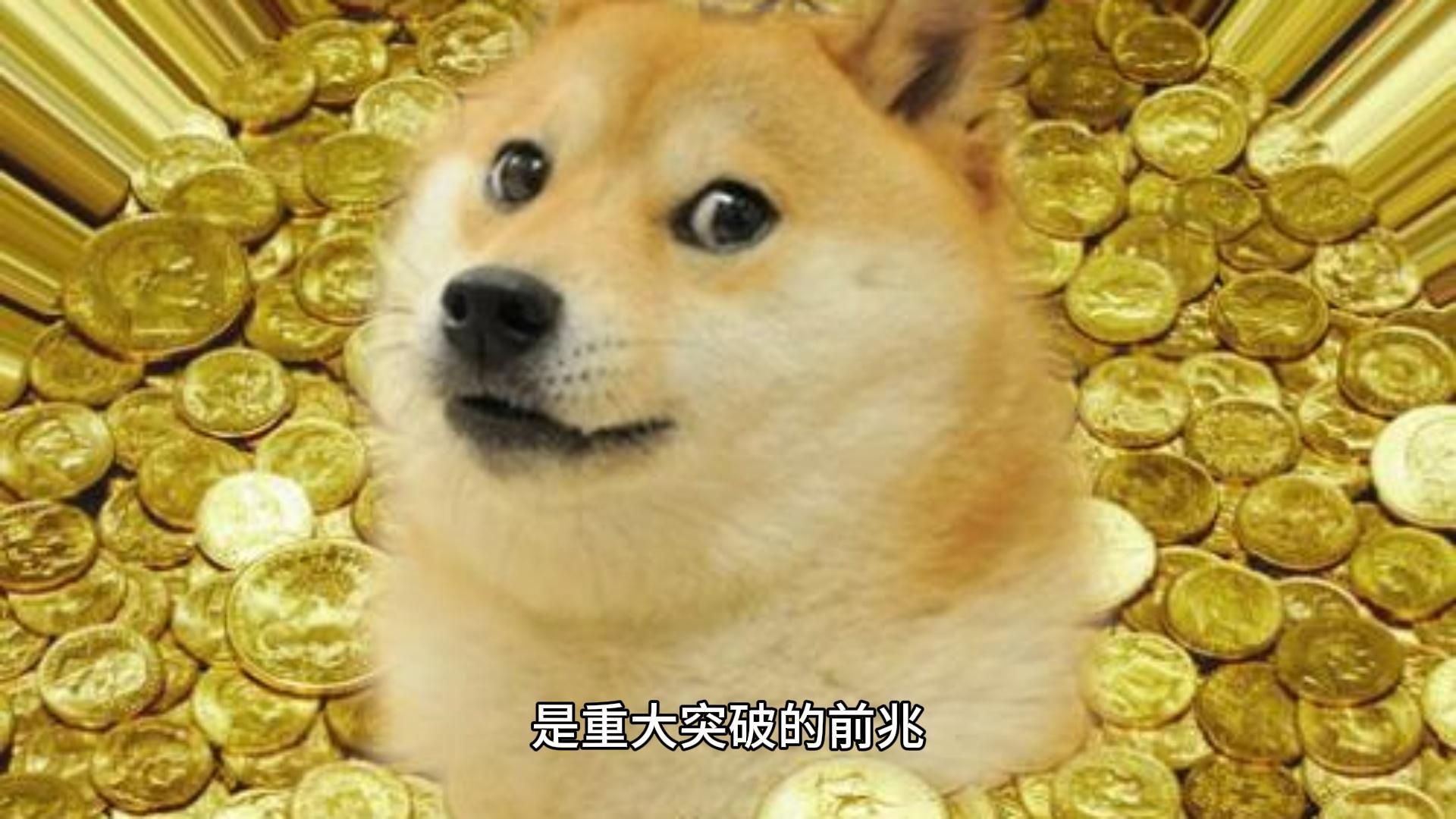 狗狗币(DOGE)月度上涨 167% ,1 美元能否成为现实?哔哩哔哩bilibili