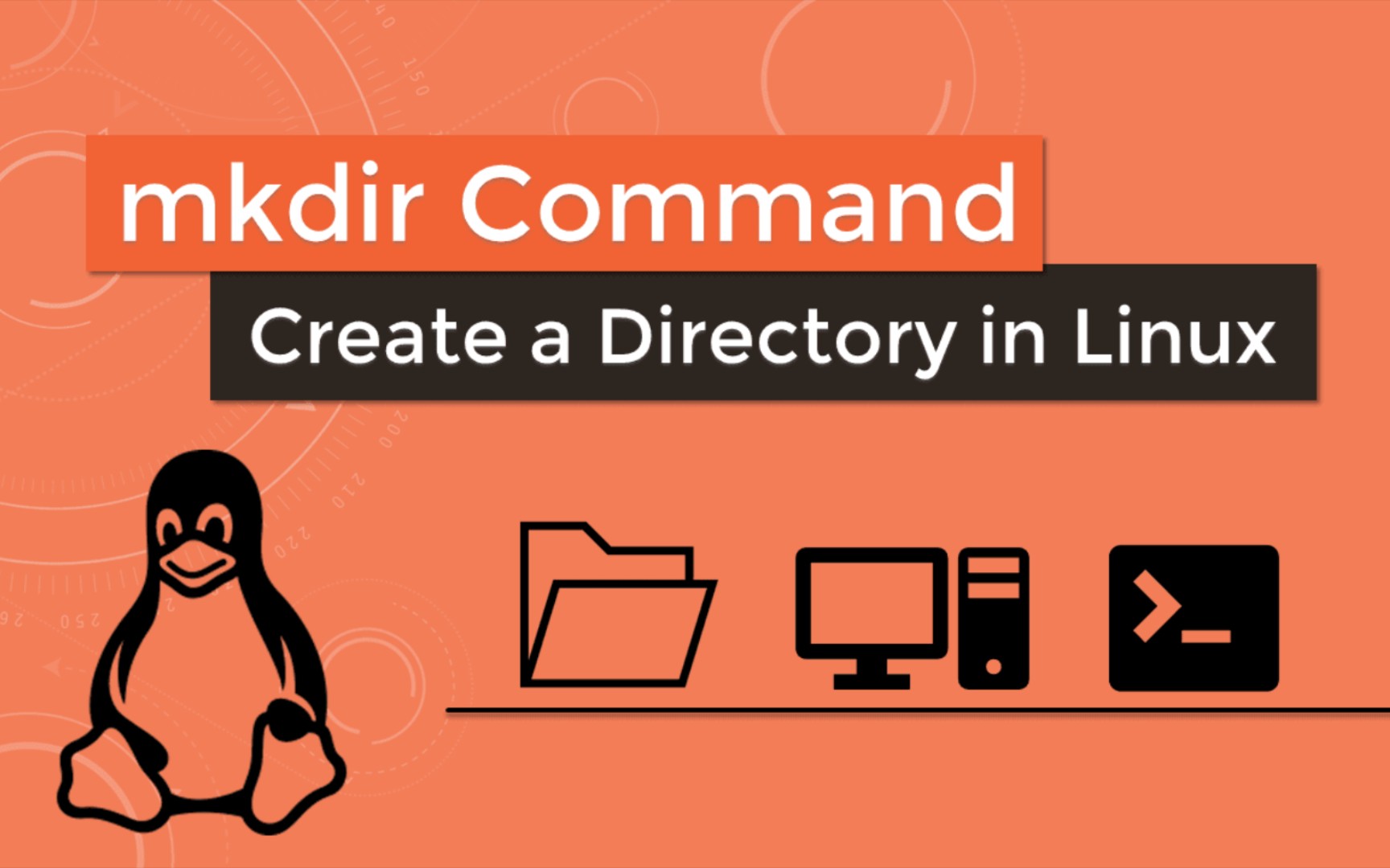 linux自习室三分钟学习mkdir文件创建和rm文件删除