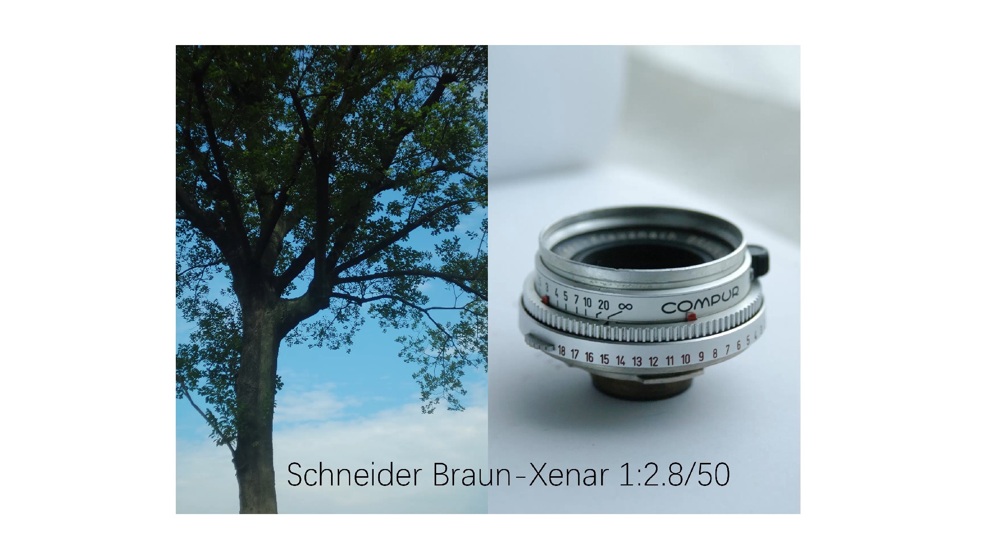 Schneider | 施耐德 博朗 50/2.8标头|最大光圈直出| 记录杭州初夏影像|尼康CCD|哔哩哔哩bilibili