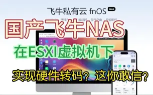 Download Video: 国产飞牛NAS系统居然能在ESXI下实现转码！你敢信？