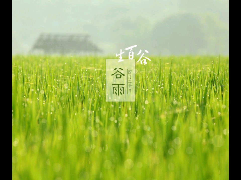 【纯音乐】谷雨 伴奏-桑葚上的猴子