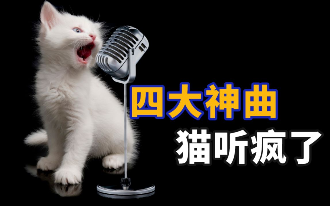 [图]猫听了会疯的4大神曲