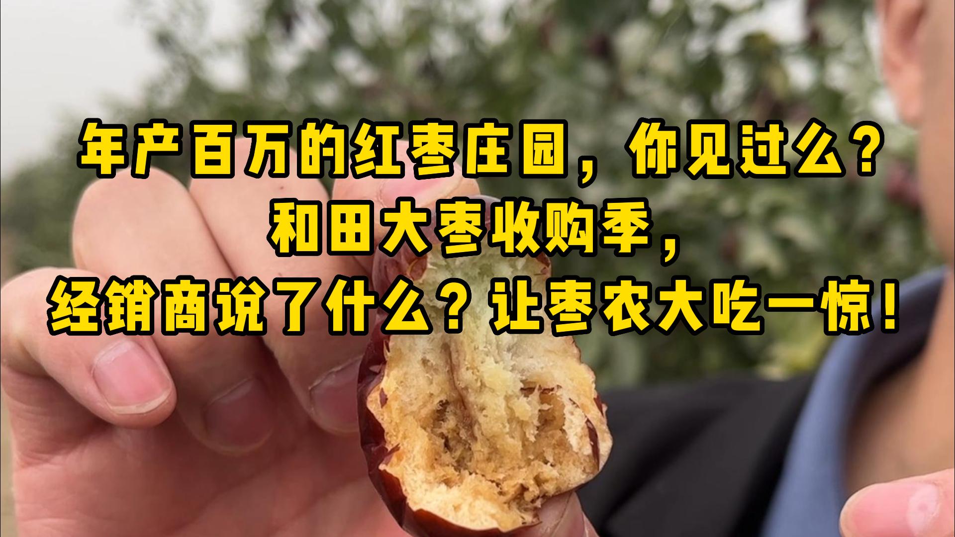 和田大枣收购季今年的价格怎们样?经销商说了什么,让枣农一惊!哔哩哔哩bilibili