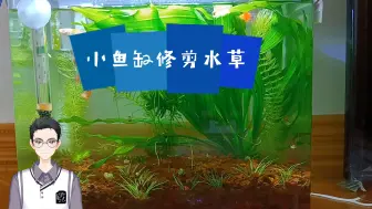 Télécharger la video: 巨好养的绿九冠疯狂生长，只能下狠手咔咔咔了