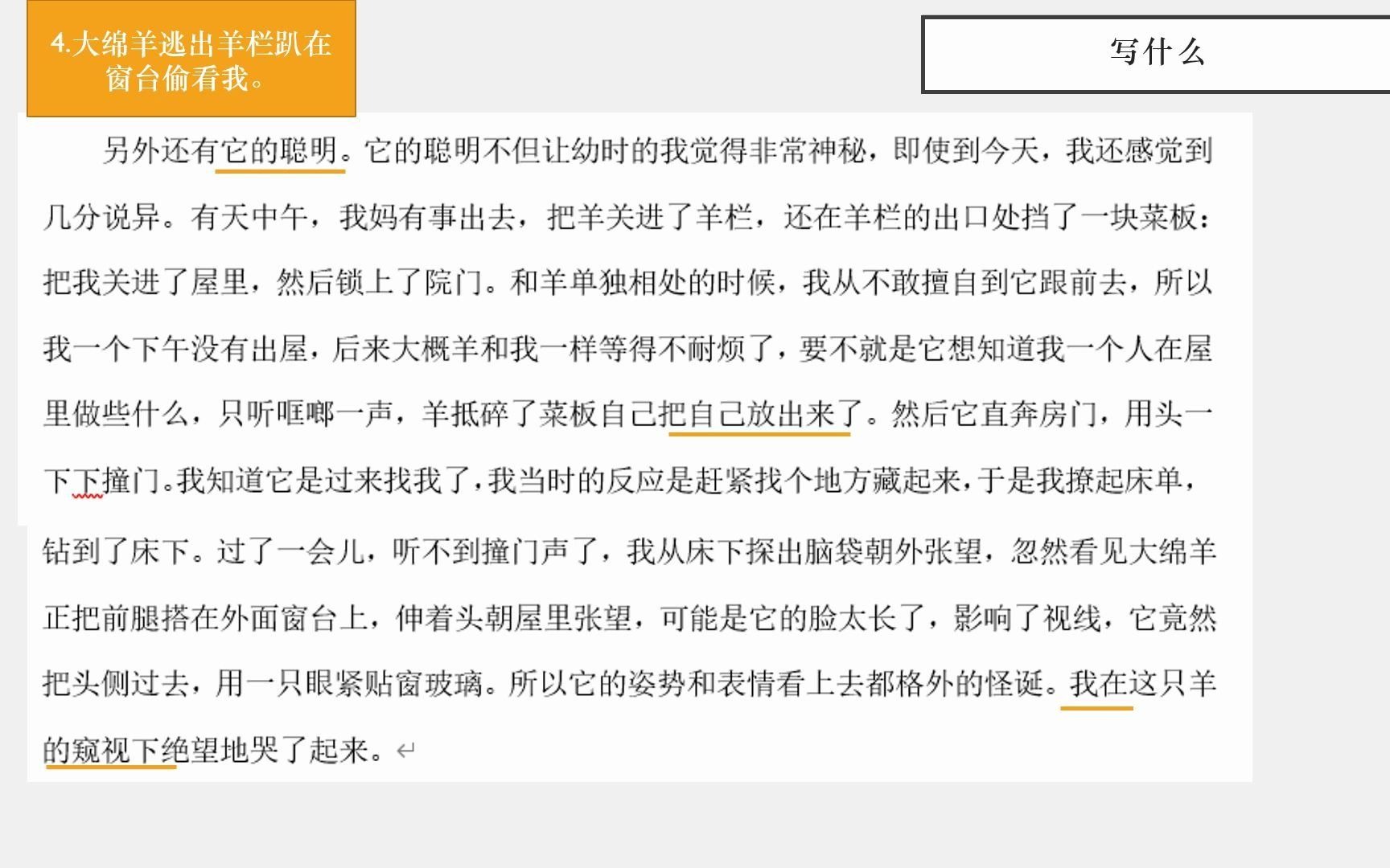 [图]随心所欲不逾矩，一只羊其实怎样