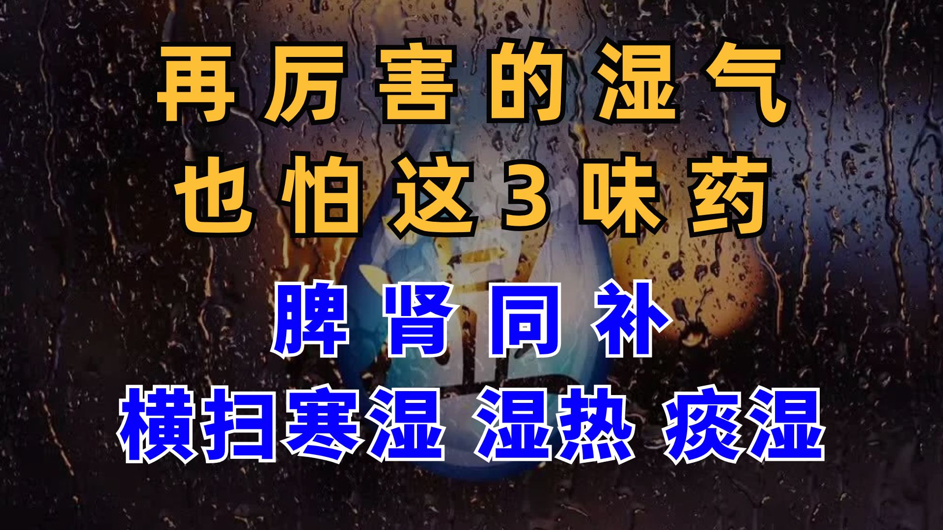 再厉害的湿气,也怕这3味药,排湿毒,横扫寒湿、湿热、痰湿!哔哩哔哩bilibili