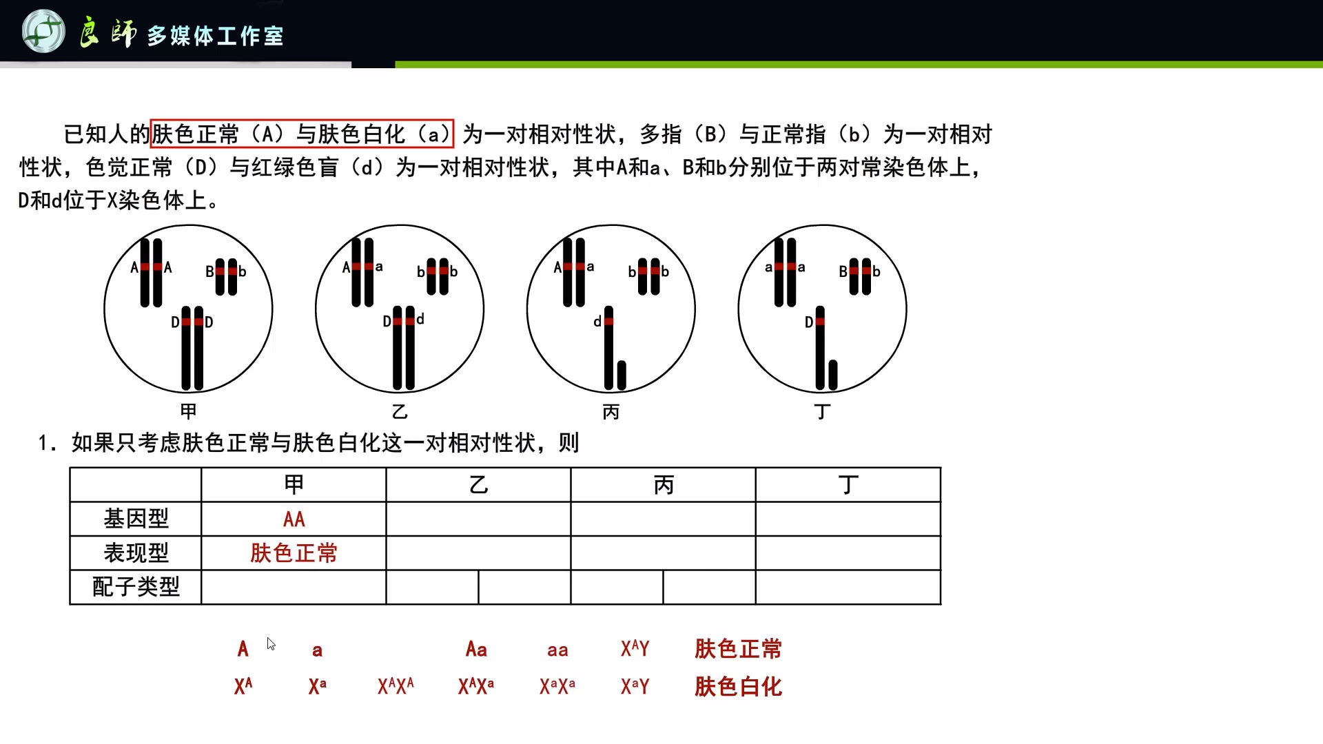 单基因遗传病的种类及其特点(一)哔哩哔哩bilibili