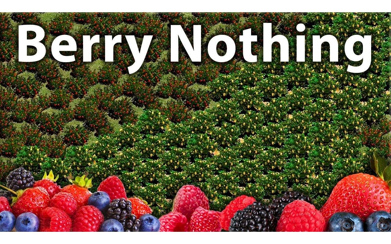 [图]【T90】帝国时代2：Berry Nothing! 草料丛多到爆炸！