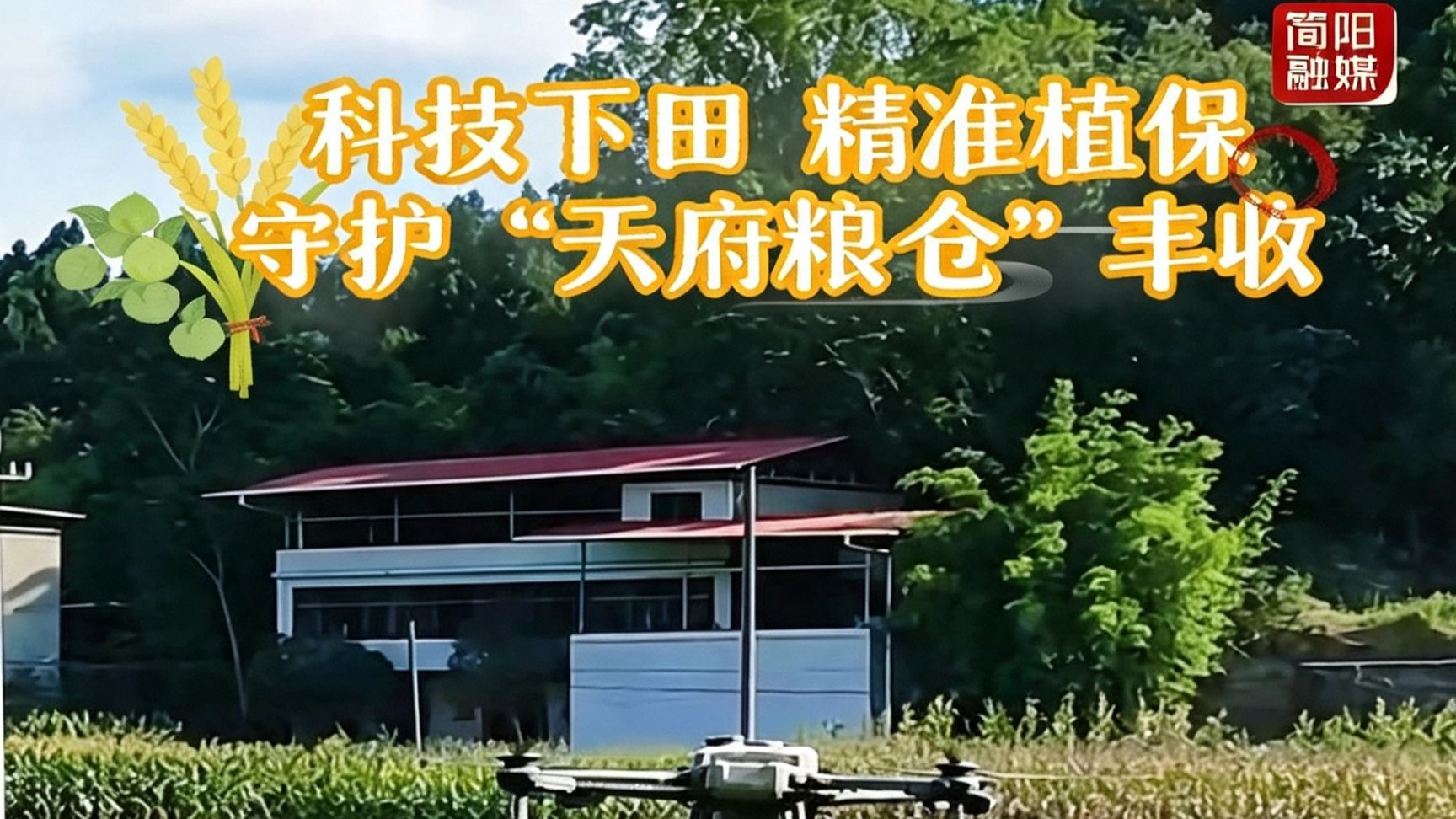 科技赋能，精准植保！青龙镇新堰村飞防护航秋粮丰收