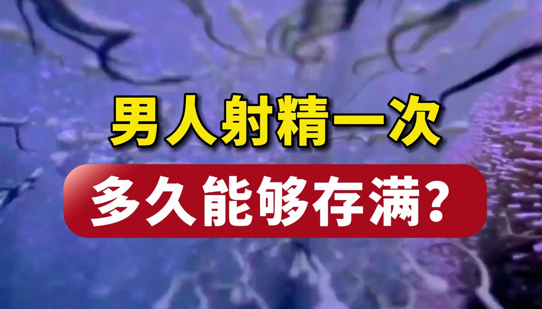 [图]男人射精一次，多久能够存满？