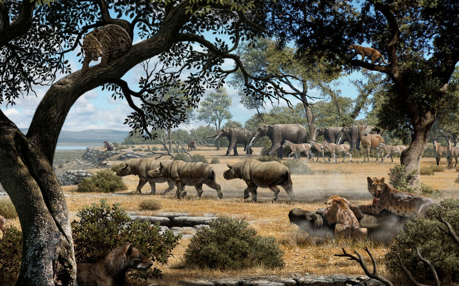 【番外篇】隐匿剑齿虎的王国,晚中新世的狂野西班牙