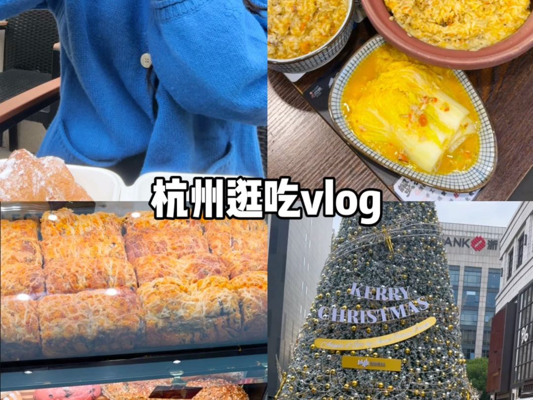 旅游vlog丨在杭州的一天,吃了蟹黄饭,BC和祐禾,好开心哔哩哔哩bilibili