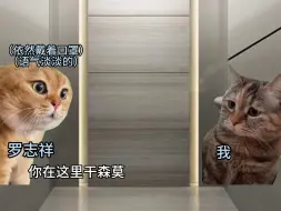 Télécharger la video: 【猫meme】关于我在台北的电梯里偶遇罗志祥这件事