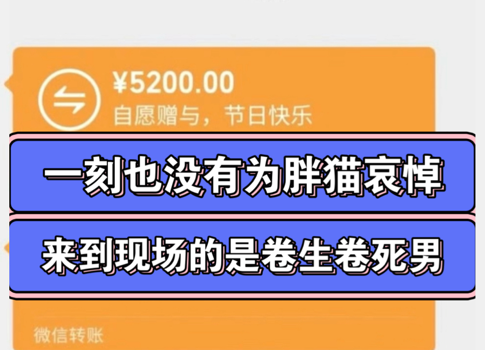 爆笑了家人们,自愿赠予+转账两遍,底层的处男和未婚男还在抱怨,人家已婚男已经卷起来了,卷男人还是男人会卷 #520 #胖猫谭竹事件哔哩哔哩bilibili