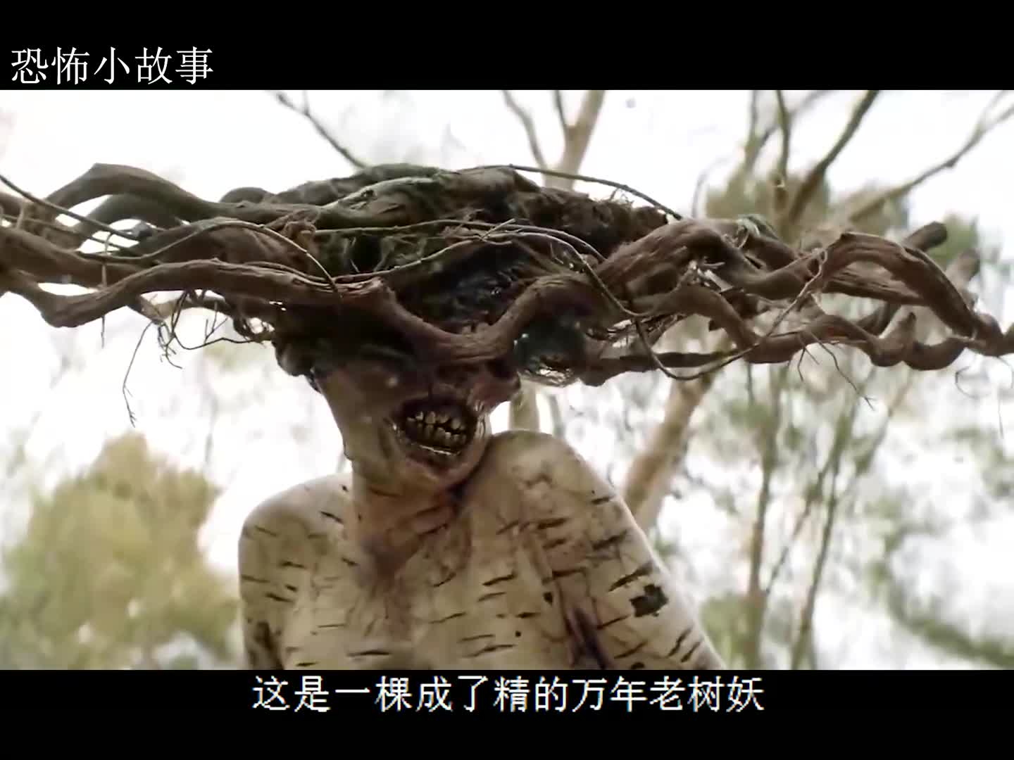 小男孩认识了一个万年树妖.树妖竟然帮他消灭敌人