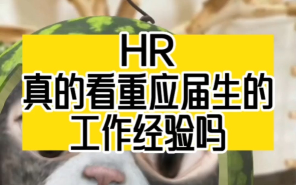 应届生求职陷阱,HR真的看重应届生的经验吗?哔哩哔哩bilibili