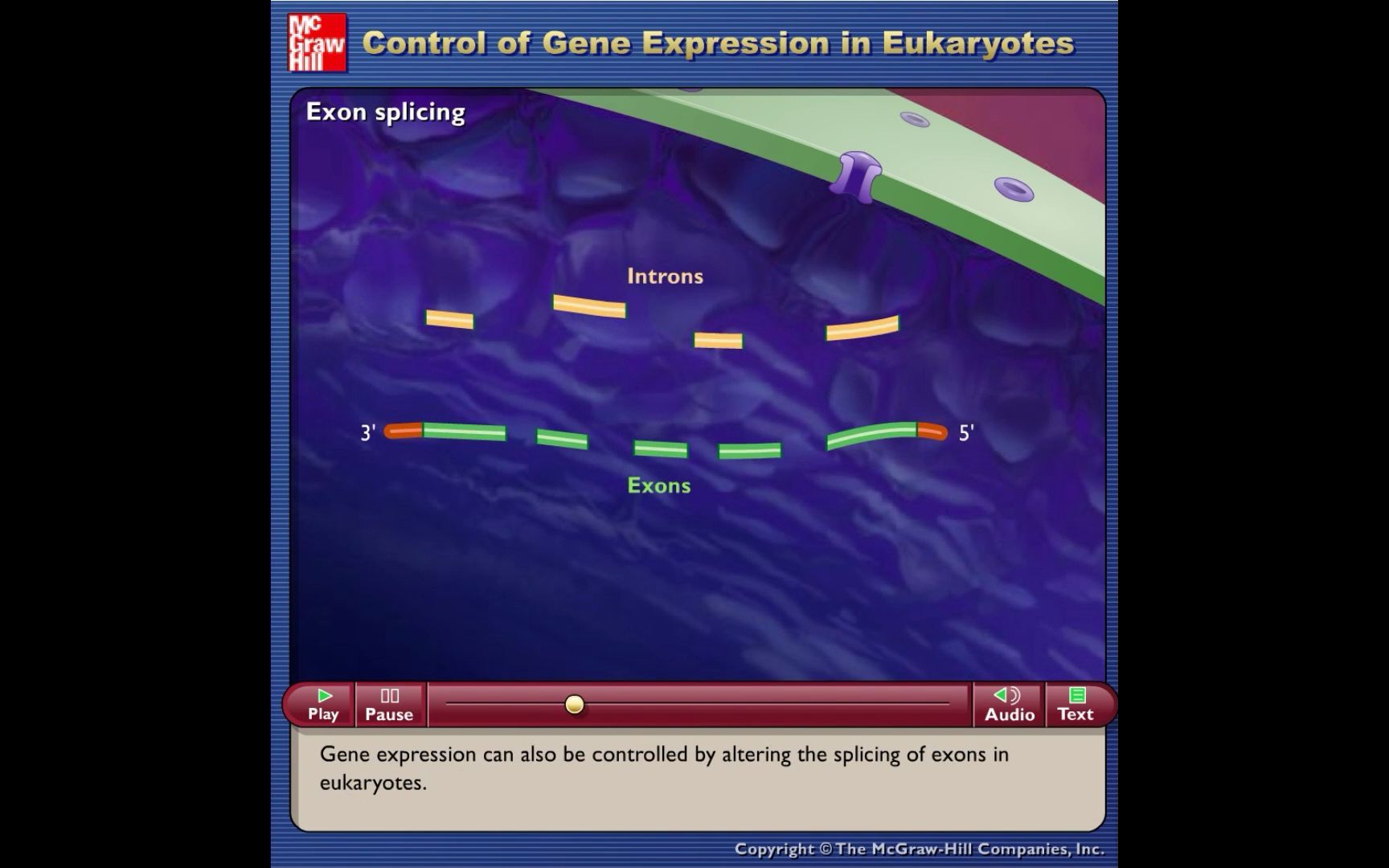 真核生物的基因表達調控controlofgeneexpressionineukaryotes動畫